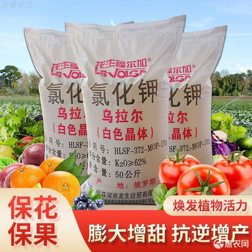 现货供应农业级氯化钾 水产养殖与全水溶营养肥的超值选择